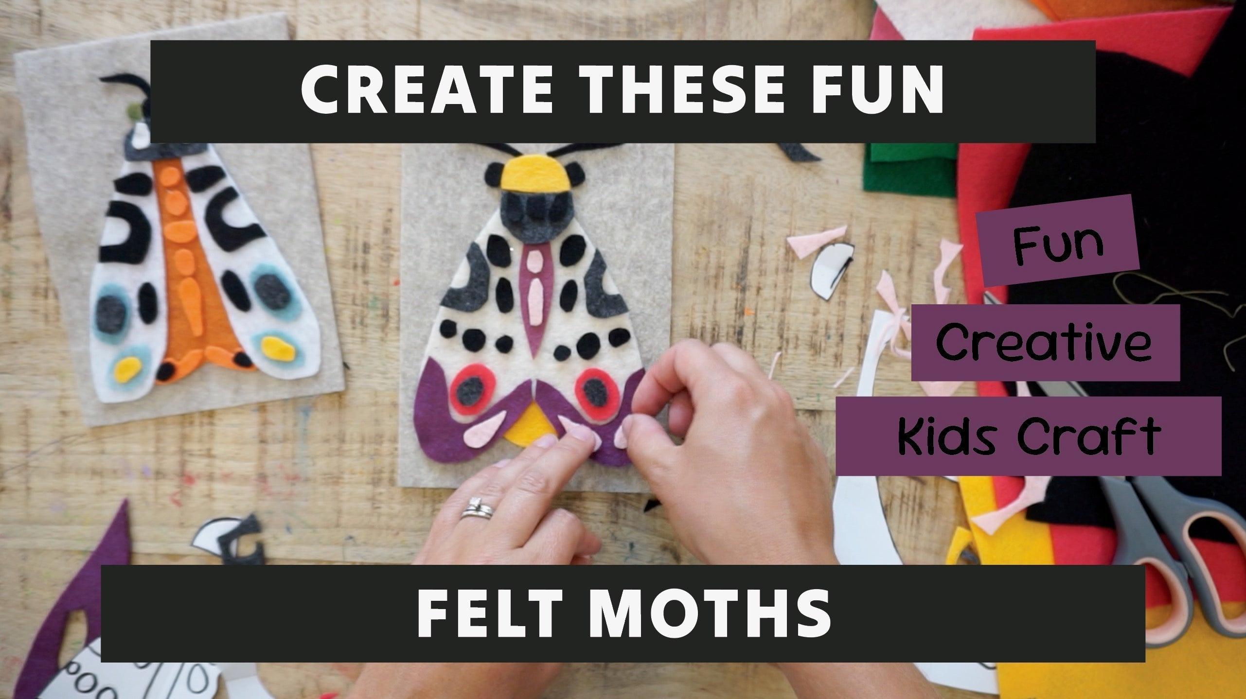 Felt Moths Template and Video