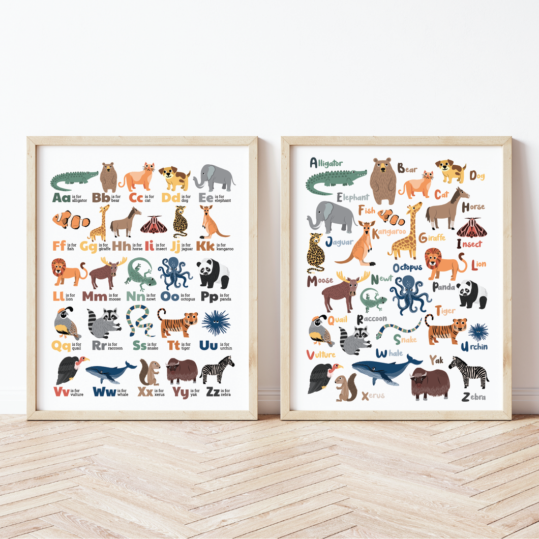 Animal Alphabet