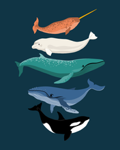 Load image into Gallery viewer, Whales
