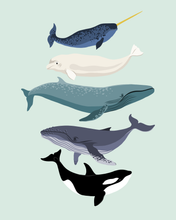 Load image into Gallery viewer, Whales
