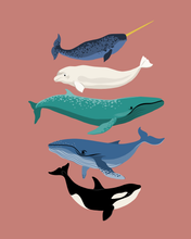 Load image into Gallery viewer, Whales
