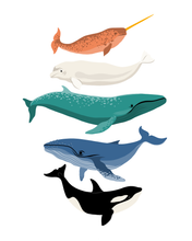 Load image into Gallery viewer, Whales
